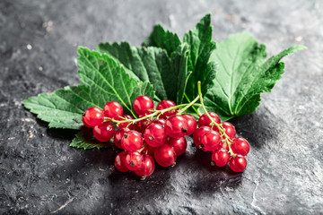 Red currant  and leaf on black texture background with copyspace top view