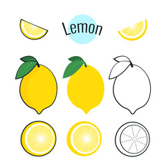 Lemon vector set. illustration on white, cartoon flat design