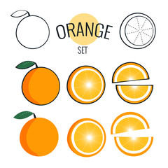 Orange vector set. illustration on white, cartoon flat design