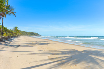 Palm tree shadow on beautiful sandy beach