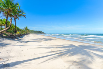 Palm tree shadow on beautiful sandy beach