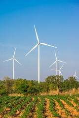 Wind turbines generating electricity with blue sky
