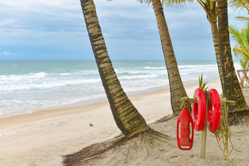 Beach with Palm trees and a ring buoy