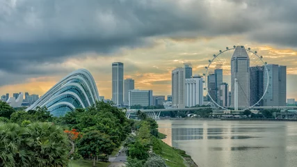 Foto op Aluminium Singapore, Gardens By The Bay & Singapore Flyer © Pr