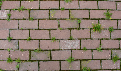 brick wall background