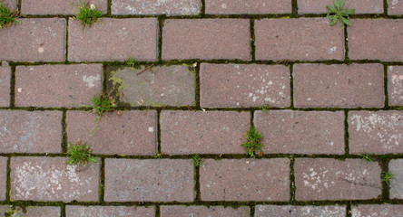 brick wall background