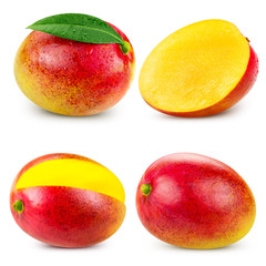 mango fruit isolated