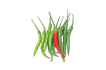 Top view chili pepper isolated on white background  isolated on white background 