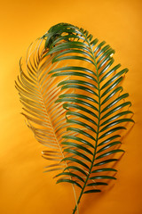 Two Tropical leaves