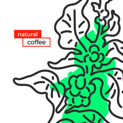 Vector set of coffee branch