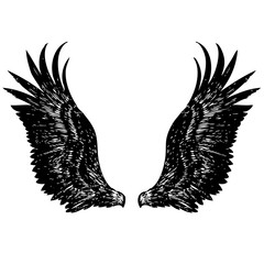 freehand sketch illustration of angel wings