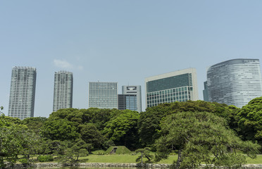 東京汐留の高層ビル群
