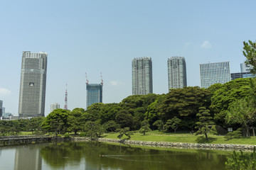 Fototapeta premium 東京汐留の高層ビル群