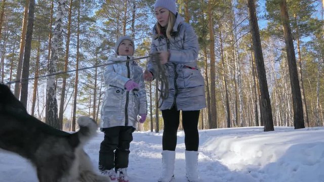 Beautiful woman and small child walking in winter forest with of husky dog. Happy young mother with daughter in the winter park with huskies dog. Friendship pet and human. Siberian husky dog in snow
