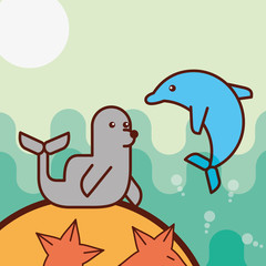 cetacean dolphin monk seal starfish sea life cartoon ocean vector illustration