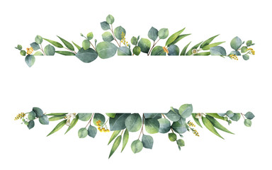 Watercolor vector green floral banner with silver dollar eucalyptus leaves and branches isolated on white background. - obrazy, fototapety, plakaty