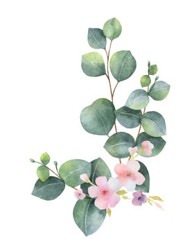 Watercolor vector bouquet with green eucalyptus leaves, pink flowers and branches.