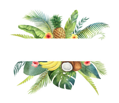 Watercolor vector banner tropical leaves and fruits isolated on white background.