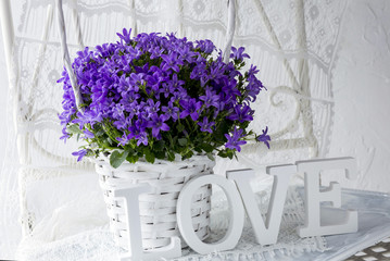 on a white background purple flowers in a white basket and the word love