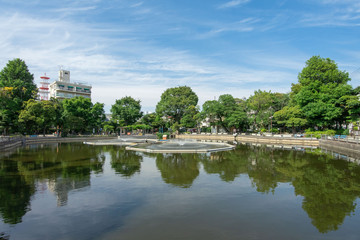 Fototapeta na wymiar 清水池公園