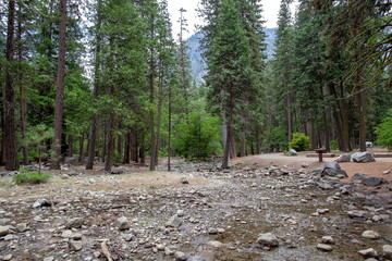 ヨセミテ国立公園