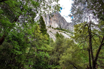 ヨセミテ国立公園