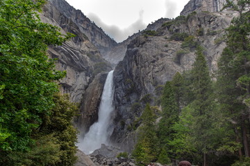 ヨセミテ国立公園