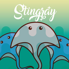stingray sea life cartoon fauna poster vector illustration