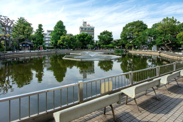 Fototapeta premium 清水池公園