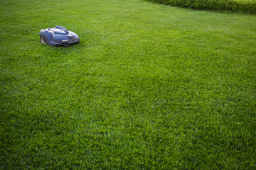 automatic lawn mower robot moves on the grass, lawn. side view from above, copy space - obrazy, fototapety, plakaty