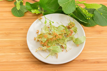 Dried linden flowers on white saucer against of fresh branch