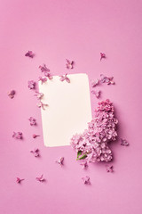 Fresh branch of pink lilac on rosy background. Greeting card. Mockup for positive ideas. Empty place for inspirational, emotional, sentimental text or quote.