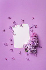 postcard with fresh splendid lilac flowers and empty tag for your text on purple background. blank for cards for spring, Easter, mother's day, women's day, Valentine's day. top view, copy space