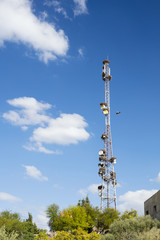 communication antenna in a lot of stork nests