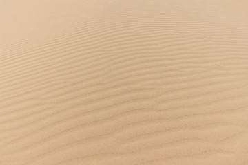Fototapeta na wymiar Texture in the sand