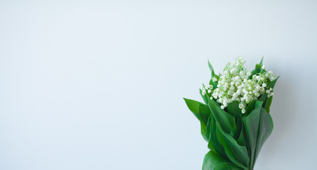 Flowers of Lily of the valley, Convallaria majalis on white background with copy space.