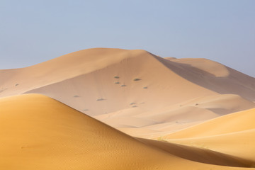 Fototapeta na wymiar orange dunes and blue sky in Sahara desert in Morocco