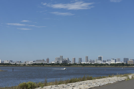 東京湾の干潟　葛西臨海公園
