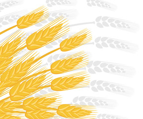 Illustration of wheat ears. Agriculture wheat. Silver silhouette wheat ears on background. Flat vector illustration