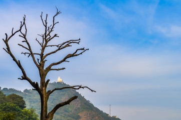 Branches of bare tree against cloudy sky in springtime