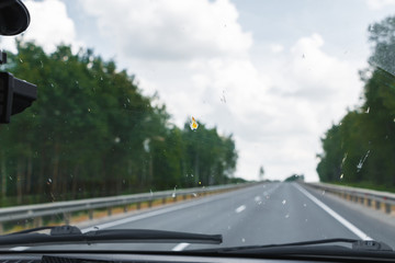 Death insects on the windshield of the car. Flattened beetles on the surface of the glass.