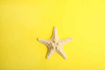 Fototapeta na wymiar One beautiful starfish