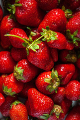 ripe strawberries on a black background