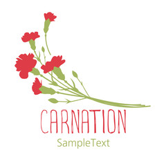 Carnation flowers. Logo design. Text hand drawn. Isolated on white background