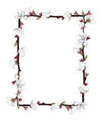 Flowers of apricot. White flowers. White petals. Green leaves. Card. Template. Frame. Floral background. Flowering branch. Buds. Border.