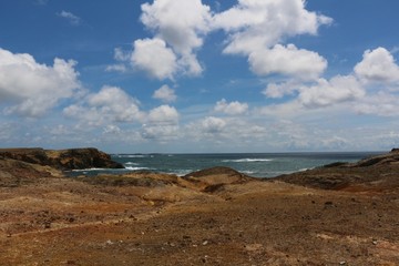 The coastal landscape of the petrified savannah in the South of the Caribbean island Martinique