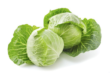 キャベツ　Cabbage © Nishihama
