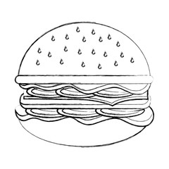 delicious hamburger fast food vector illustration design