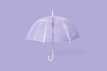 Transparent Umbrella