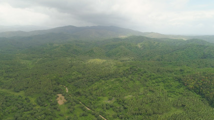 Aerial view of mountains covered rainforest, trees. Luzon, Philippines. Slopes of mountains with evergreen vegetation. Mountainous tropical landscape.